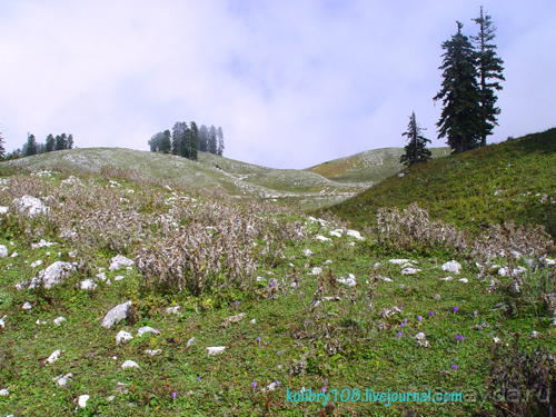 Абхазия-любовь моя. Мамдзышха.