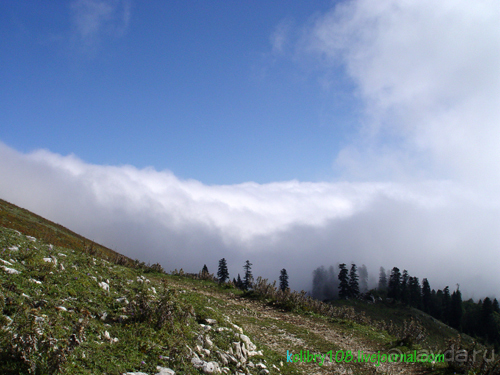 Абхазия-любовь моя. Мамдзышха.