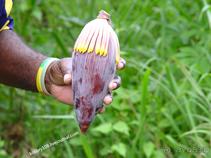 Вануату- страна счастья.