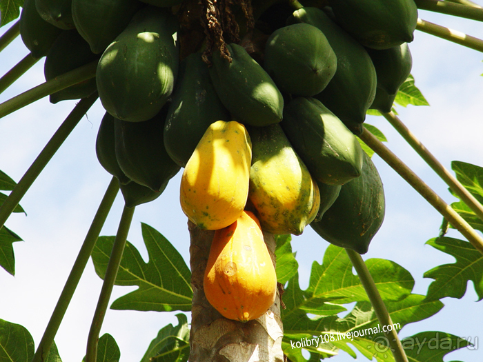 Вануату- страна счастья.