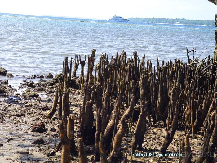 Вануату- страна счастья.