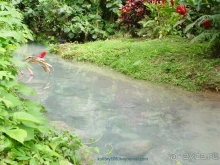 Вануату- страна счастья.