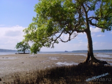 Вануату- страна счастья.