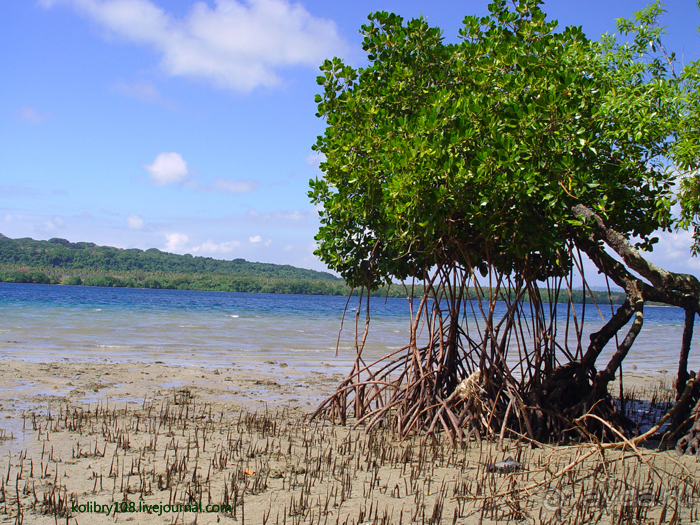Вануату- страна счастья.
