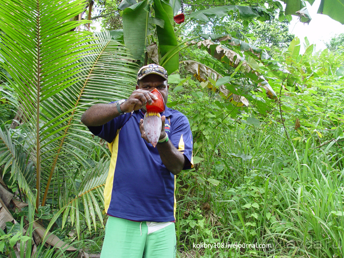 Вануату- страна счастья.