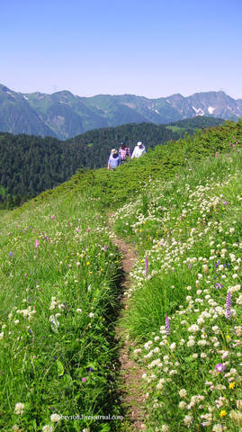 Обитель Бога (окончание)