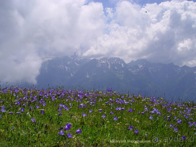 Обитель Бога (окончание)