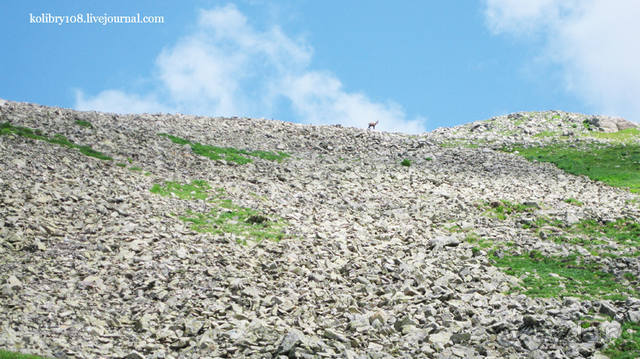 Обитель Бога (окончание)