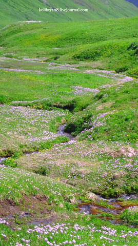 Обитель Бога (окончание)