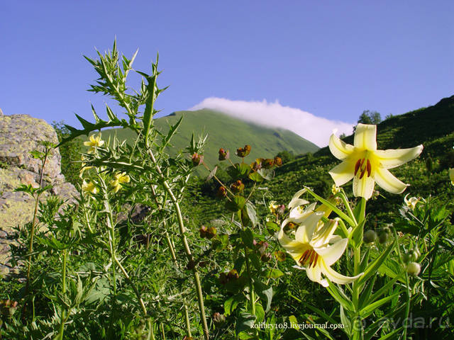 Обитель Бога (окончание)