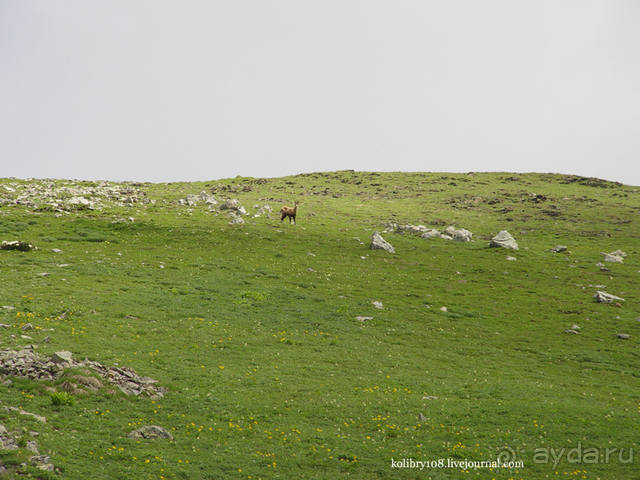 Обитель Бога (окончание)