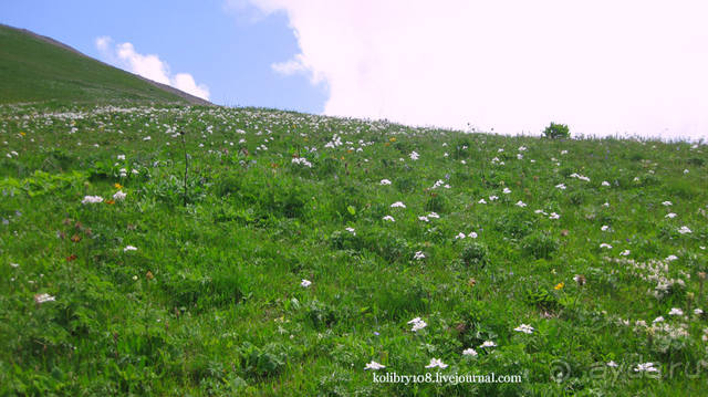 Обитель Бога (окончание)