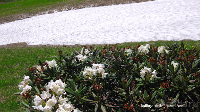 Обитель Бога (окончание)