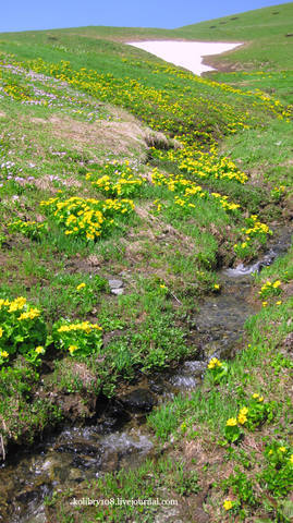 Обитель Бога (окончание)