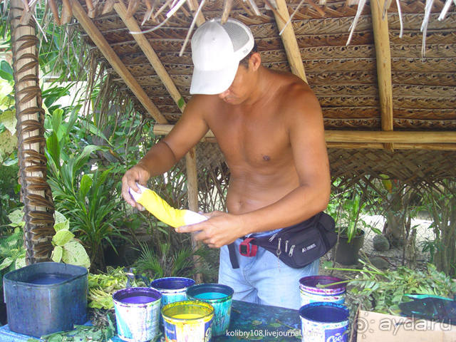 «Сафари 4х4» плюс МК по окраске парео (остров Бора-Бора).