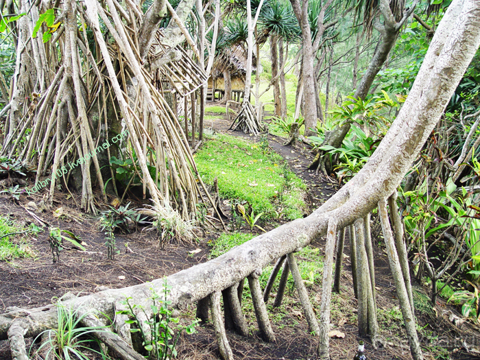 Вулкан Ясур (остров Танна). Вануату.