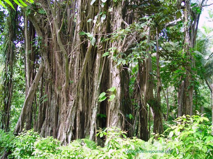 Вулкан Ясур (остров Танна). Вануату.
