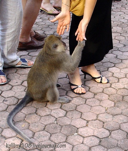 БАЛИ - часть вторая.