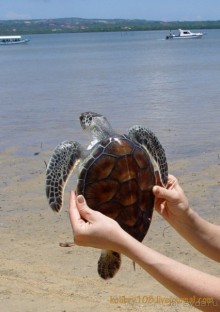 БАЛИ - часть вторая.