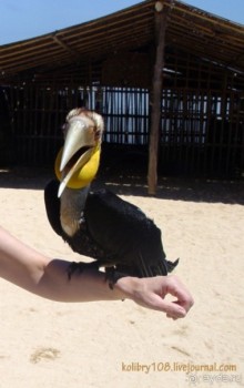 БАЛИ - часть вторая.