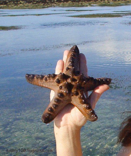 БАЛИ - часть вторая.