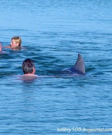 Абхазия - любовь моя. Гегский водопад.