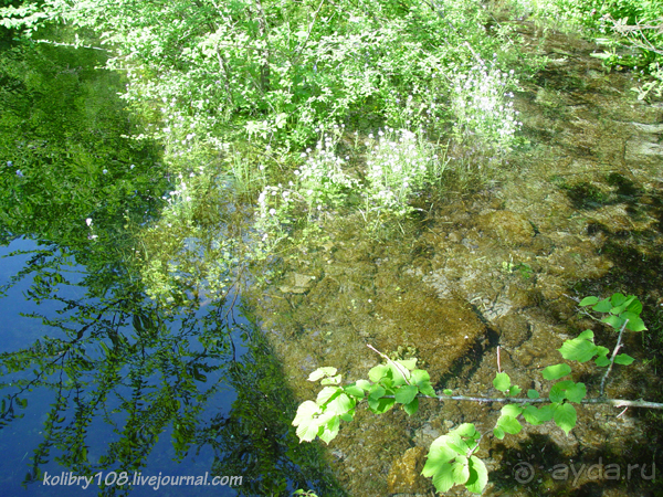 Абхазия - любовь моя. Гегский водопад.