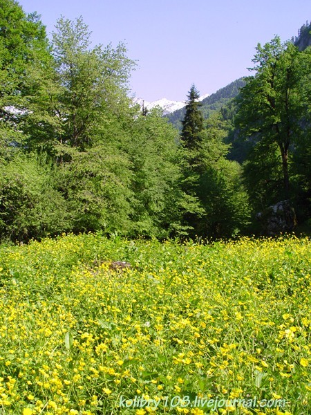 Абхазия - любовь моя. Гегский водопад.