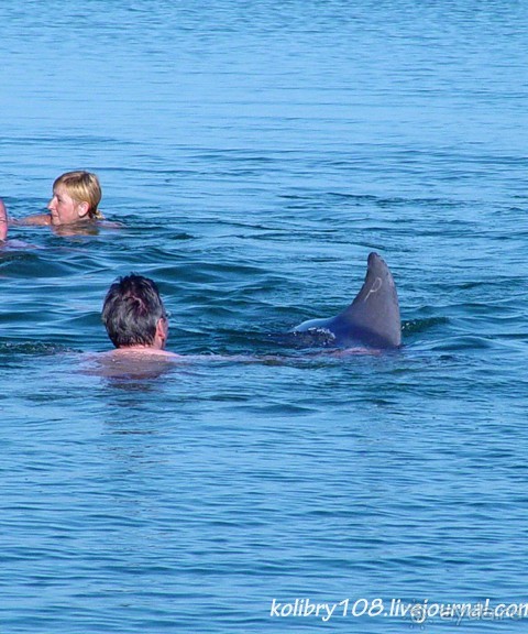 Абхазия - любовь моя. Гегский водопад.