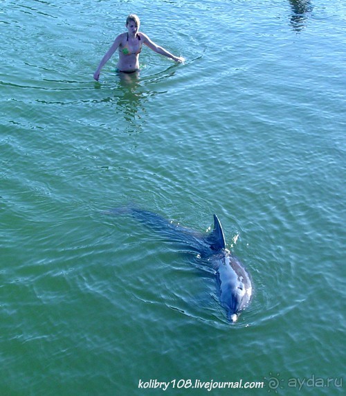 Абхазия - любовь моя. Гегский водопад.
