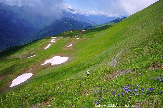 Клумбочка (и про лису Люську)