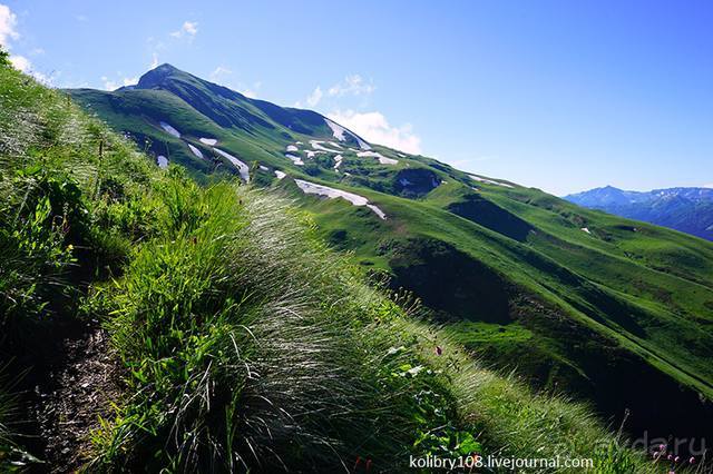 Клумбочка (и про лису Люську)