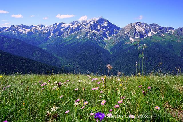 Клумбочка (и про лису Люську)