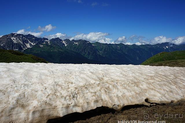 Клумбочка (и про лису Люську)