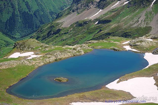 Клумбочка (и про лису Люську)