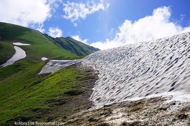 Клумбочка (и про лису Люську)