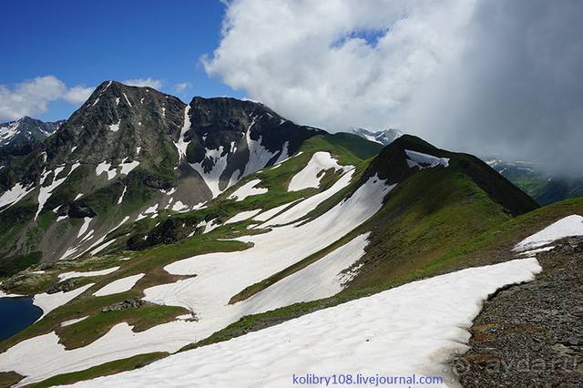 Клумбочка (и про лису Люську)