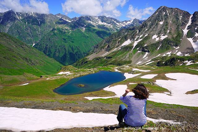 Клумбочка (и про лису Люську)
