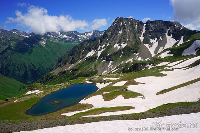 Клумбочка (и про лису Люську)
