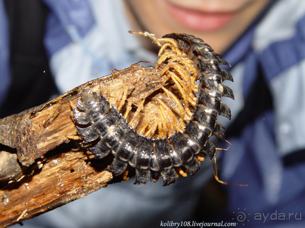 Эквадор (часть вторая)