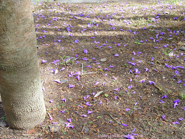 Эквадор (часть вторая)