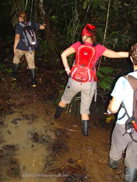 Эквадор (часть вторая)