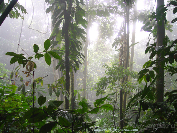 Эквадор (часть вторая)