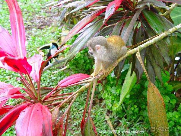 Эквадор (часть вторая)