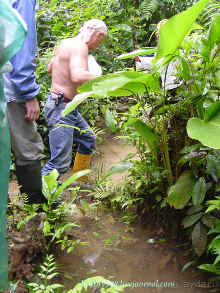 Эквадор (часть вторая)