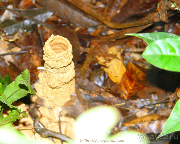 Эквадор (часть вторая)