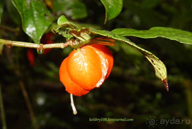 Эквадор (часть вторая)