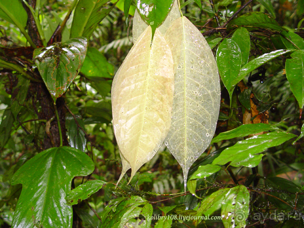 Эквадор (часть вторая)