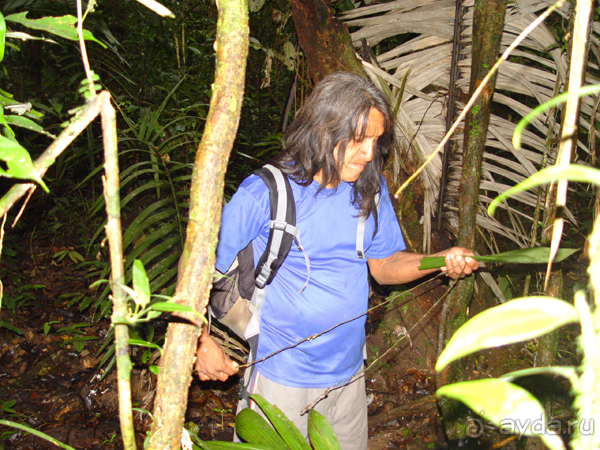 Эквадор (часть вторая)