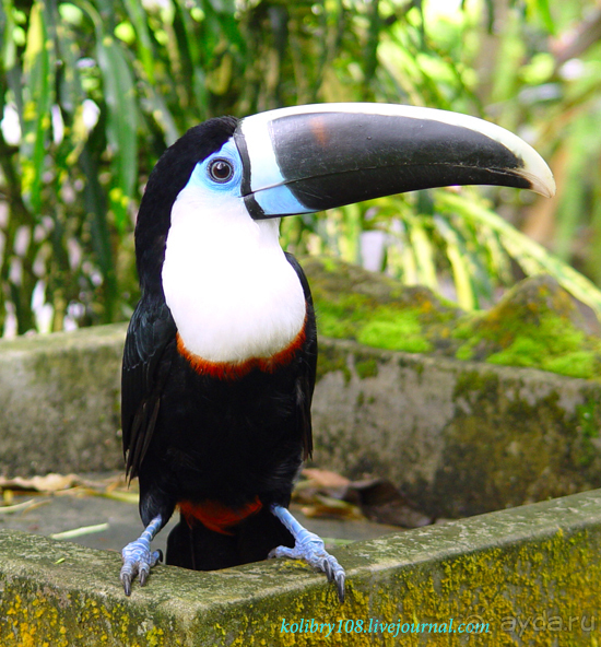 Эквадор (часть вторая)